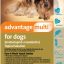 Advantage Multi Topical Solution for Dogs, 9.1-20 lbs, (Teal Box), 6 Doses (6-mos. supply)