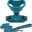 Best Pet Supplies Voyager Dual Attachment Outdoor Dog Harness & Leash Bundle, Turquoise, Medium