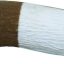 Caitec Featherland Paradise Grooming Perch Bird Toy, 1/2 x 5-in