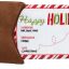 Frisco Holiday Home for the Holidays Airline Ticket Bungee Plush Squeaky Dog Toy